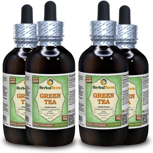 [BRSWGBQPBV7BGHT3] Green Tea (Camellia Sinensis) Glycerite, Organic Dried Leaves Alcohol-Free Liquid Extract (Brand Name: HerbalTerra, Proudly Made in USA) 4x4 fl.oz (4x120 ml)