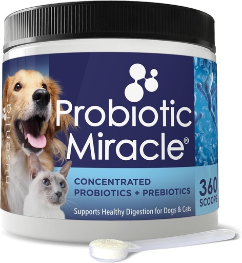 [BRSWIYA3AQOGIGDM] NUSENTIA Probiotics for Dogs -(360 Scoops)-Probiotic Miracle -Advanced, Species Specific Probiotics and Prebiotics to Stop Diarrhea, Loose Stool, and Yeast-Plus Immune Support