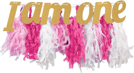 [BRSWECT2CQDQM3QY] Creative Converting Decorazione sedia alta, 8” x 34”, Multicolor