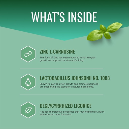 [BRSROGIOOUNBEDQ2] Onartutako Zientzia Pyloriprin - Sostengu Digestibo aurreratua estomach osasuntsu baterako - Zinc L-Carnosine, Probiotikoa, Broccoli Sprout, Deglycyrrhized Licorice - 60 kapsula - Hilabete bateko hornidura - Vegan