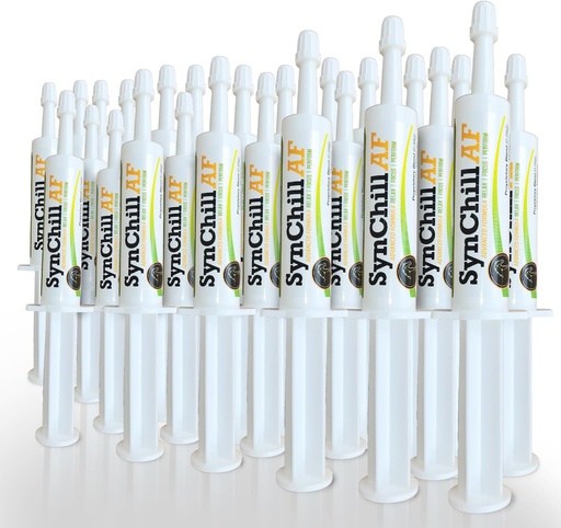 [BRSRAGILOF5QMCL7] SynChill AF Calming Gel for Nervous Horses - Single Serving - Advanced Formula with L-Theanine, Increased Potency, 100% Natural Supplement, Disposition & Confidence Support for Horses - 25 Pack
