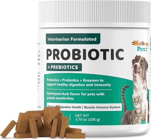 [BRSROFAEDMGWACAV] Wellnergy Daily Probiotic & Prebiotics Soft Chew for Dogs & Cats - Храносмилателна поддръжка за диария, запек, разтроен стомах, нарушено храносмилане и газ - помага за храносмилането, алергия кожата и имунната здраве 70ct