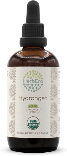 [BRSROAD7C4PGEYA3] HerbEra Hydrangea B120 USDA Organic Tincture | Alcohol-Free Extract, High-Potency Herbal Drops | Certified Organic Hydrangea (Hydrangea arborescens) Dried Root (4 oz)