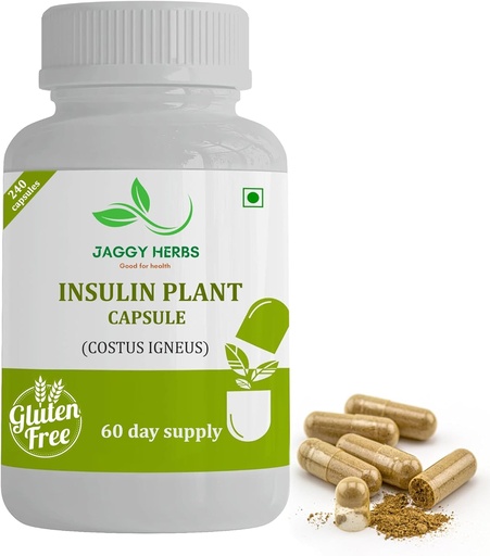 [BRSRAYL6BBYW233J] Genérico JAGGY Premium Insulin Plant Capsules (Costus Igneus) Suplemento Natural 240 Veggie Capsules (60 Day Supply) Insulin Plant