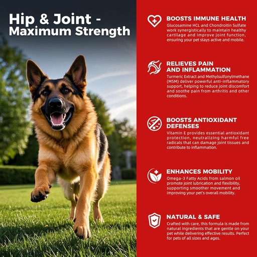 [BRSRAADRDMDWMCQ6] Dog Hip and Joint Supplement - Dog Pain Relief Anti Inflammatory with Glucosamine, Chondroitin, MSM, Turmeric, Vitamin E, Omega 3 - Treats Hip Dysplasia, Arthritis - All Large Small Medium Breed