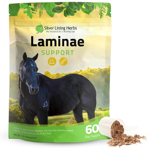 [BRSWIZ32BV7GAET6] Laminae Hoof Supplements for Horses - 1 lb | Hoof Supplements for Horses, White Willow Bark & Devil's Claw, Laminitis & Founder Support, NASC Certified, Made in USA