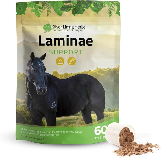 [BRSWIZ32BV7GAET6] Silver Lining Herbs Laminae Support Horse Supplements Laminitis & At üçün istehsalçı dəstək - Supporting Mobility, Sore Jump, Soft Foot Doku və Better Coat - Atlar üçün Herbal Hoof Supplements - 1 LB