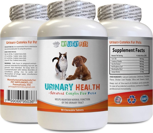 [BRSWGAQNBV5AIF3H] Îngrijirea vezicii urinare câine - Animale de companie Complex de sănătate urinară - pentru câini și pisici - Advanced Bladder Supplement - Câine Cranberry - 1 flacon (90 tratează)
