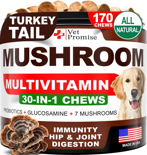 [BRSRAYL5OB4AEDLD] Turkey Tail Mushroom for Dogs - 170 Chews - Mushroom Supplement for Dogs - Lions Mane - Reishi - Immunity Support Multivitamin Vitamins - Joint Health - Energy - Gut - Skin - Made in USA