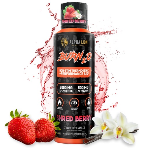 [BRSRAHAHAV7QA3TH] ALPHA LION Burn2O L-Carnitine Liquid 2000mg, Premium Liquid Fat Burner & Pre-Workout Supplement for Men & Women - Natural Energy & Metabolism Booster for Weight Loss - ShredBerry