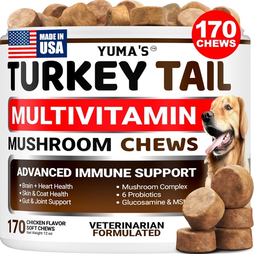[BRSREHY6BENG2AL3] Turkey Tail Mushroom for Dogs - 170 Count - Mushroom Chews for Dogs Lipoma Lumps and Bumps - Immune Health, Digestive, Skin, Energy, Joint Vitamin Support Guard Buddy - Multivitamin Supplement