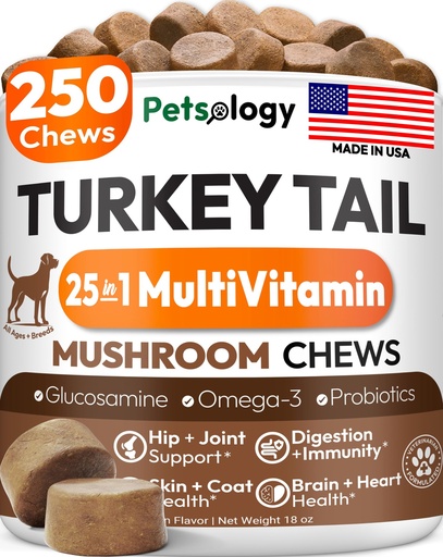 [BRSRGFQQBAMGKYA4] Turkey Tail Mushroom for Dogs - 250 Chews - Lion’s Mane - Shiitake - Reishi - Buddy Immune Support Guard - Lipoma Mushroom Supplement for Dogs Lumps and Bumps Glucosamine, Health Vitamins Multivitamin