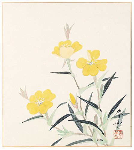 [BRSWIEILCIFWY3Q5] Hayashi Shunyuki Evening Primrose 6-356