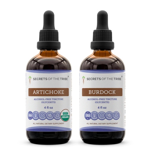 [BRSREBQDAAMAGDTA] Secrets of the Tribe Artichoke and Burdock Liquid Extract 4x4 oz | Cynara scolymus Dried Leaf and Arctium Lappa Dried Root
