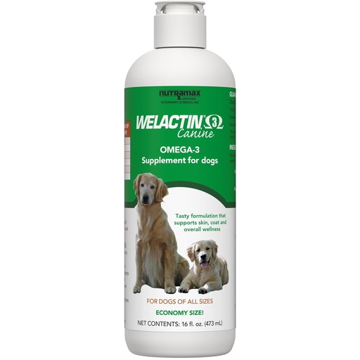 [BRSWIYYPAF7RCGT4] Nutramax Welactin Omega 3 Fish Oil for Dogs, Skin and Coat Health Supplement, Plus Joint, Immune, Kidney, and Brain Support, Premium Omega 3 Fatty Acids, For Dogs, 16 Ounce Liquid