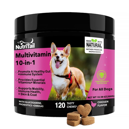 [BRSREHA6BN4GCDLA] NutriTrail Multivitamin for Dogs – 10-in-1 Soft Chews with Glucosamine, Probiotics, Omega-3, Vitamins & Minerals – Supports Hip & Joint, Digestion, Skin & Coat, and Immune Health – Chicken, 120 Ct