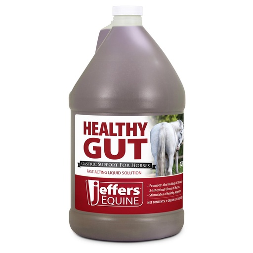 [BRSREYA5BUIGY3DU] Jeffers Equine Healthy Gut Gastric Support – Liquid Digestive Supplement for Horses Prone to Ulcers – Easy to Feed Formula, Supports Gut Comfort & Digestive Balance – 1 Gallon (128 Day Supply)