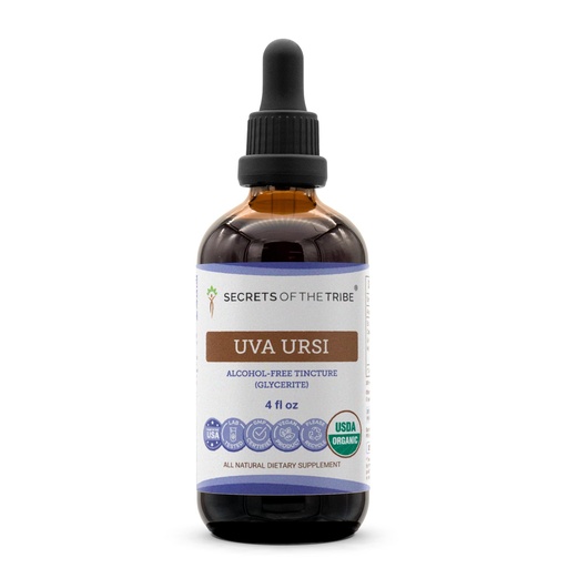 [BRSREBI2OAHBQEI6] Secrets of the Tribe Uva Ursi USDA Organic | Alcohol-Free Extract, High-Potency Herbal Drops | Made from 100% Certified Organic Uva Ursi (Arctostaphylos Uva-Ursi) Dried Leaf (4 oz)