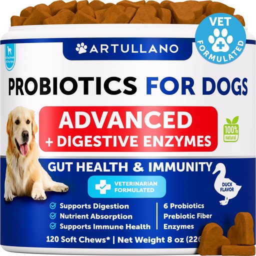 [BRSROYYKDMGRS3LV] Probiotics for Dogs - Support Gut Health, Itchy Skin, Allergies, Immunity, Yeast Balance - Dog Probiotics and Digestive Enzymes with Prebiotics - Reduce Diarrhea, Gas - 120 Probiotic Chews for Dogs