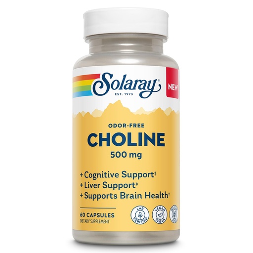 [BRSRECARPMFGG33J] SOLARAY Choline 500 mg – Cognitive, Brain Health and Liver Support Supplement – Powerful Brain Supplement & Choline Source for Adults – Odor-Free, Vegan Liquid VegCaps – 60 Servings, 60 Capsules