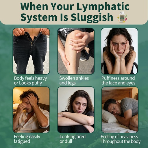 [BRSRGAA6A5YR42DB] Lymphatic Drainage Supplement – Natural Herbal Formula with Dandelion, Burdock & Echinacea, Supports Fluid Balance, Immune Health & Cellulite Reduction – 60 Capsules