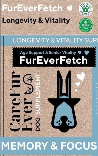 [BRSREHANB4CG22TP] Senior Dogs Brain & Vision Support | Slows Cognitive Decline with Lion's Mane & Turkey Tail | Veterinary-Grade Nootropic Formula | Memory, Focus & Immune Health | 30 Chews
