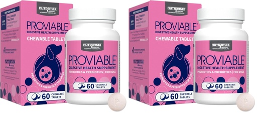 [BRSRGGQNO4MG2AI4] Nutramax Proviable Probiotics for Dogs, Daily Digestive Health Supplement with Multiple Strains of Bacteria, Dog Probiotics Plus Prebiotics, 60 Chewable Tablets,(Pack of 2)