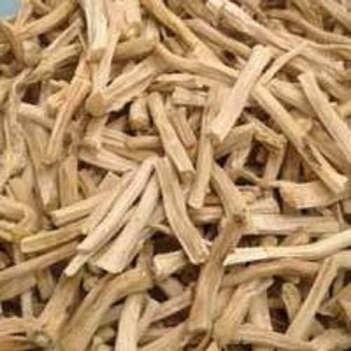 [BRSWYBTRBN7GOGT7] Shatavari/Shatavri/Indian Aspragus/Satavar/Shatamuli/शतावरी – 100g