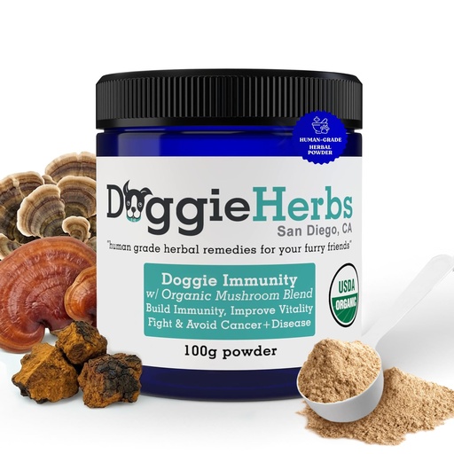 [BRSWG2Q5OAHWGFD2] High Potency Immune Support – Critical Care Formula with Turkey Tail, Reishi & TCM Mushrooms + Herbs – Doctor Formulated Powder for Recovery, Vitality & Cellular Health 100g
