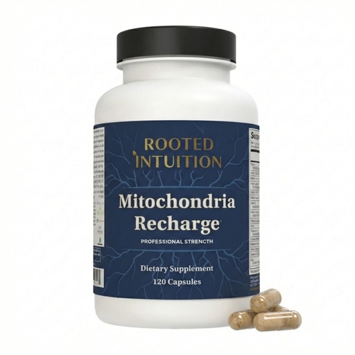 [BRSREGICOR5R6AY7] Rooted Miltivitamin with Brain Supplements for Memory and Focus | Energy Vitamins for Men and Women | Brain Health Support & Mental Clarity | Cognitive Booster | Mitochondria Recharge | 120 Capsules