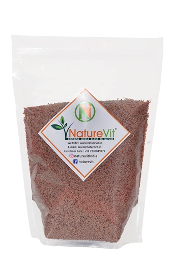 [BRSWYHTQBUIQMEQ7] NatureVit Psyllium Seeds 400 Gram [Isabgol Beej] | Whole Natural Seeds for Digestion & Gut Health | Rich in Fiber | Ideal for Ayurvedic Use, Keto & Weight Management