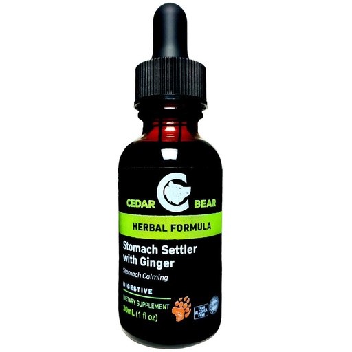 [BRSWGFQPBUMGMCD2] Cedar Bear Stomach Settler with Ginger a Liquid Herbal Supplement That Helps Calm a Mild Upset Stomach 1 Fl Oz