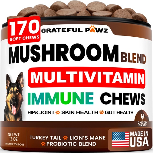 [BRSRABQDBEIQO3D7] Turkey Tail Mushroom Supplement for Dogs - 170 Chews - Mushrooms for Dogs - Reishi, Lion’s Mane, Glucosamine Multivitamin - Immune Booster, Gut, Hip & Joint Health Support Vitamins, Energy & Skin