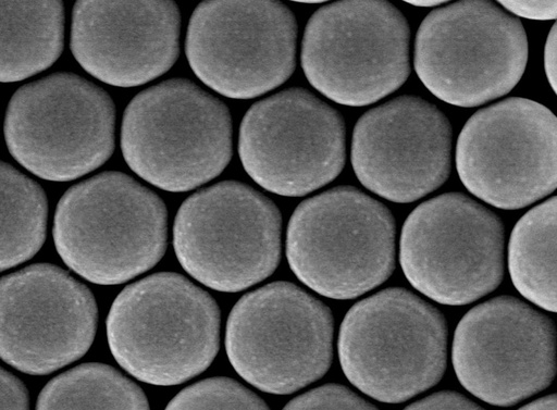 [BRSRMZYZCEPAMCIU] Colloidal Polystyrene Beads (Carboxylated; 900 nm, 50 mg/ml, 10 ml)