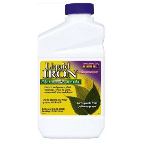 [BRSWICYMCB4G2HA5] Liquid Iron Complex Fertilizer Concentrate, 32-oz.