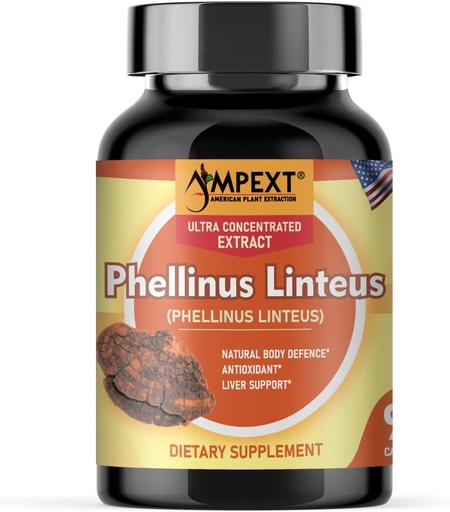 [BRSRA2YZAAJQO2QV] Phellinus linteus Mushroom Extract - Premium Quality, Only Fruiting Bodies, Antioksi, Immunity Alert, Liver Support, 90 Veg Caps.
