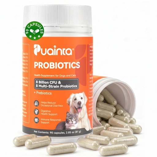 [BRSRGAYTAAFWYALF] PUAINTA Probiotics for Dogs & Cats – 8-Strain Probiotic with Prebiotics for Digestive & Gut Health, Immune & Stool Support, Helps Dogs Eating Dirt, Grass & Non-Food Items, 90 Count