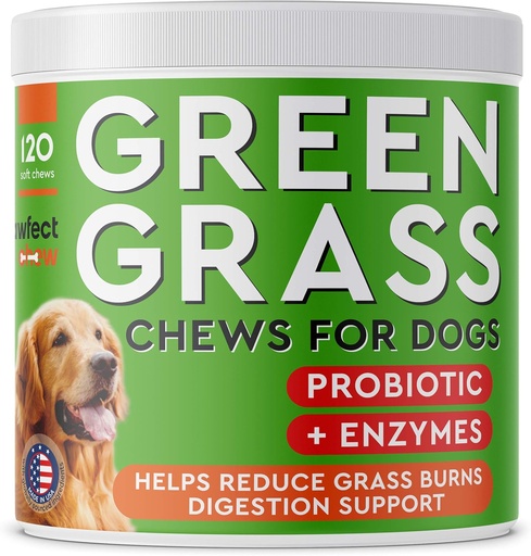 [BRSWYHACPN7GO3I7] PAWFECTCHEW Dog Pee Grass Helper - Tratamiento de Grass para perros Urine - Neutralizador para perros Urine para manchas de Grass Burn - Tratamiento de césped de perros con probióticos - Made in USA - 120 Chews