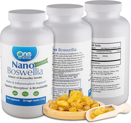 [BRSWYZD7OUFQAAI2] One Planet Nutrition Nano Boswellia 250 mg Capsules de légumes (120 portions), Boswellia serrata Resin, soutient la fonction cognitive pour la santé du cerveau, non-OGM, végétalien, sans gluten