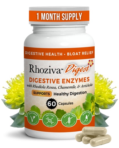[BRSRMBTRAF7RMHI6] Rhoziva Digest Gut Health Supplement with Digestive Enzymes for Men & Women - Probiotics & Prebiotics for Gut Health Supplement - Daily Synbiotic Gut Vitamins for Men & Women - 60 Capsules