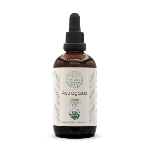 [BRSROHYNB4IQEDLV] HerbEra Astragalus B120 USDA Organic Tincture | Alcohol-Free Extract, High-Potency Herbal Drops | Certified Organic Astragalus (Astragalus membranaceus) Dried Root (4 oz)
