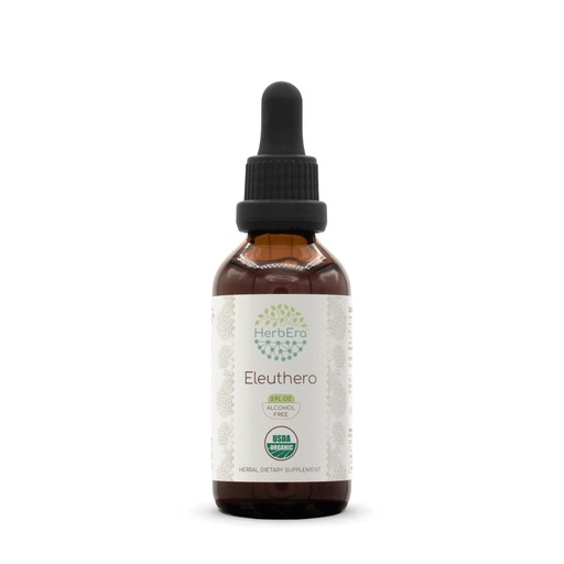 [BRSROGQHOZ7BSHQ4] HerbEra Eleuthero B60 USDA Organic Tincture | Alcohol-Free Extract, High-Potency Herbal Drops | Certified Organic Eleuthero (Eleutherococcus Senticosus, Siberian Ginseng) Dried Root (2 oz)