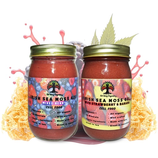 [BRSREYL4BN5RECT2] Wildcrafted Irish Sea Moss Gel | Made with Seamoss | Made in USA | Rich in Vitamins & Minerals | 100% Organic Gold Sea Moss Gel Raw | Berry Pack (2 Pack)