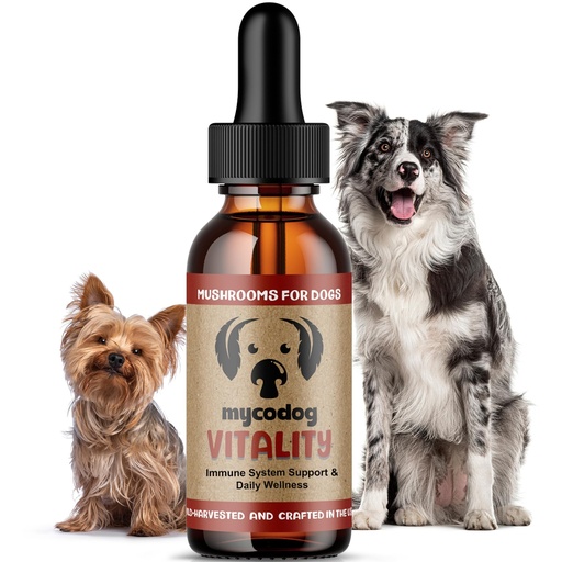 [BRSROHD7DEIQOALO] MycoDog Vitality - 20-in-1 Mushroom & Adaptogen Supplement for Dogs - Immune Health, Senior Dog, & Daily Wellness Support - Turkey Tail Mushroom for Dogs, Reishi, Chaga