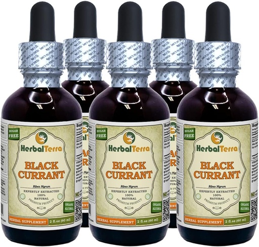 [BRSWGHYRAAFQYDTG] Black Currant (Ribes nigrum) Tincture, Dried Leaves Liquid Extract (Brand Name: HerbalTerra, Proudly Made in USA) 5x2 fl.oz (5x60 ml)