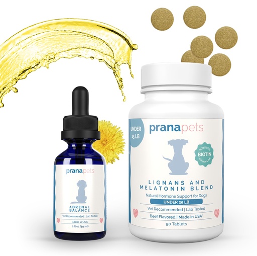 [BRSRGELYBAGRS3LH] Adrenal Support + Lignans & Melatonin Blend Combo for Dogs UP to 25 lbs.