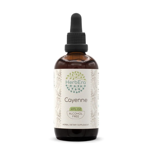 [BRSWGYD2AEGQ2HTG] HerbEra Cayenne B120 Alcohol-Free Herbal Extract Tincture, Concentrated Liquid Drops Natural Cayenne (Capsicum annuum) 4 fl oz