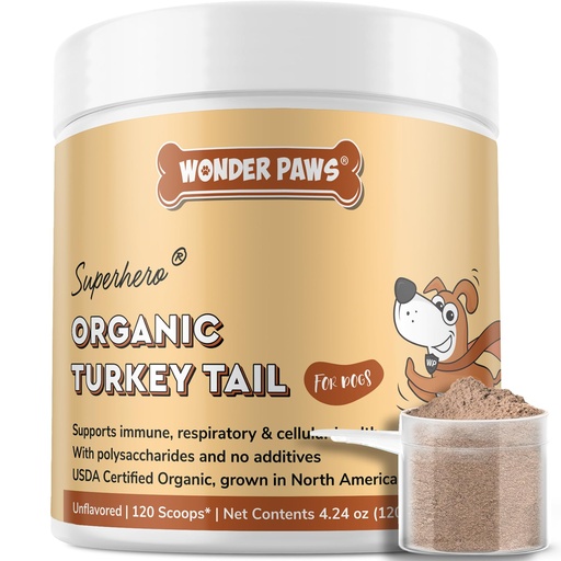 [BRSRGGIBCUBB6G35] Wonder Paws Organic Turkey Tail Mushroom for Dogs – Powerful Turkey Tail for Dogs Mushroom Powder for Immunity, Respiratory, Digestion & Cellular Health–with Beta Glucans & Polysaccharides (120 g)