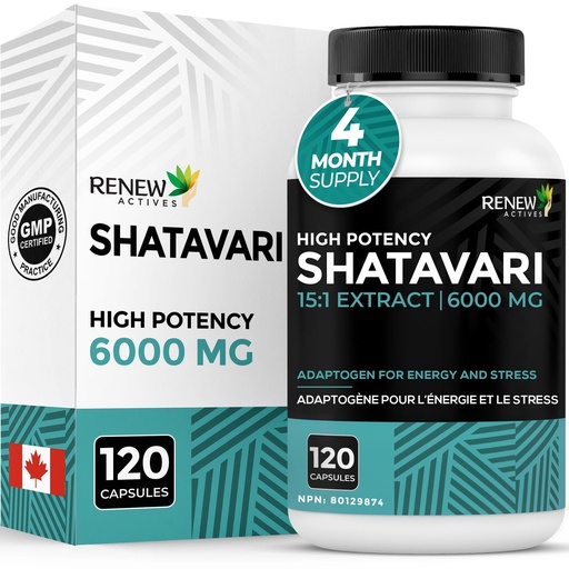 [BRSRAFICOR7WOF3K] Renew Actives Shatavari Capsules – Natural Adaptogen for Energy, Vitality, & Endurance – Promotes Wellness & Resilience with Ayurvedic Herbs – Organic, Vegan – Made in Canada – 120 Capsules