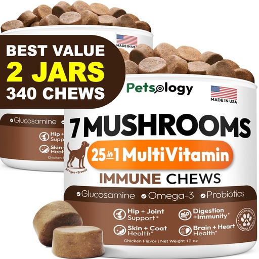 [BRSRGYIEAUFRUADZ] (2 Pack) Turkey Tail Mushroom for Dogs - 340 Chews - Lion’s Mane - Shiitake - Reishi - Buddy Immune Support Guard - Mushroom Supplement for Dogs with Glucosamine, Health Vitamins Multivitamin